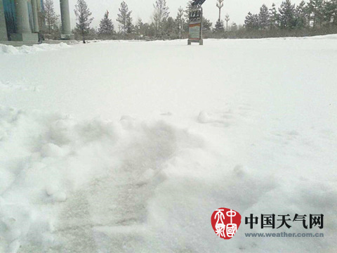 5日上午8时，大兴安岭积雪厚度达9.8厘米。（图片来源：大兴安岭气象台）